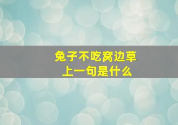 兔子不吃窝边草 上一句是什么